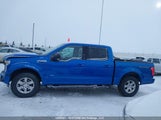 Ford F150 Supercrew 1FTEW1EP0GKE64646 снимка