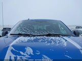 Ford F150 Supercrew 1FTEW1EP0GKE64646 снимка
