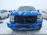 Ford F150 Supercrew 1FTEW1EP0GKE64646 снимка