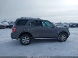 Ford Escape Limited 1FMCU94G29KA84171 снимка