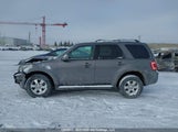 Ford Escape Limited 1FMCU94G29KA84171 снимка