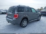 Ford Escape Limited 1FMCU94G29KA84171 снимка