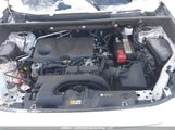 Toyota Rav4 Xle 2T3R1RFV6LW110739 photo