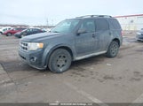 Ford Escape Xlt 1FMCU93G29KC64154 снимка