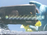 Honda Civic 2HGFB2E41FH023384 снимка