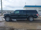 Ford F150 Supercrew 1FTFW1EF5DKE89890 снимка