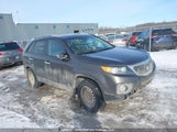 Kia Sorento 5XYKTDA24DG344311 снимка