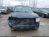 Ford Escape Xlt 1FMCU93188KE44295 снимка