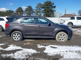 Chevrolet Equinox Ls 2GNFLCEK4D6101835 снимка