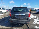 Chevrolet Equinox Ls 2GNFLCEK4D6101835 fotografie