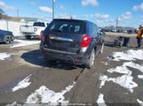 Chevrolet Equinox Ls 2GNFLCEK4D6101835 снимка