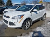 Ford Escape Se 1FMCU9G98FUC08487 fotografie