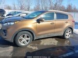 Kia Sportage KNDPMCAC3H7243639 снимка