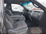 Ford F-150 Xlt 1FTFW1EF1DFC14560 снимка