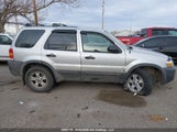 Ford Escape Xlt 1FMYU93155KA67605 снимка