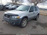 Ford Escape Xlt 1FMYU93155KA67605 снимка