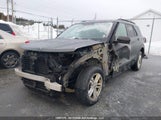 Ford Explorer Xlt 1FMSK8DH7LGB68601 снимка