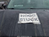 Dodge Grand Caravan 2C4RDGBG9ER368740 снимка