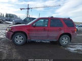 Ford Escape Limited 1FMCU94137KA41564 снимка