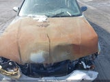 Mazda 626 Es/Lx 1YVGF22C115223842 снимка