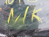 Honda Civic 2HGFE4F87SH006345 снимка