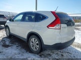 Honda Cr-V Exl 2HKRM4H71EH125734 снимка