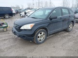 Honda Cr-V Lx 5J6RE48338L815781 photo