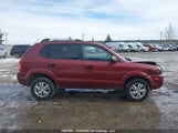 Hyundai Tucson KM8JM12B29U070887 снимка