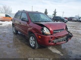 Hyundai Tucson KM8JM12B29U070887 снимка