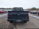 Ford F-150 Fx4 1FTFX1EF8EFA20932 fotografie