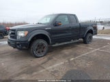 Ford F-150 Fx4 1FTFX1EF8EFA20932 снимка