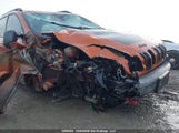 Jeep Cherokee Trailhawk 1C4PJMBS6FW638535 снимка