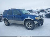 Ford Escape Xlt 1FMYU931X7KA32173 снимка