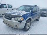 Ford Escape Xlt 1FMYU931X7KA32173 снимка
