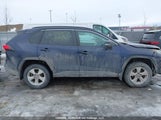 Toyota Rav4 Xle 2T3R1RFVXKW039656 снимка