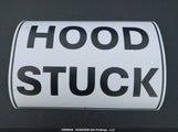 Honda Odyssey Ex-L 5FNRL5H66EB502363 снимка