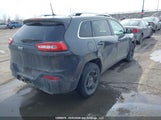 Jeep Cherokee 1C4PJMCS6GW144403 fotografie