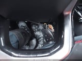 Chevrolet Colorado Z71 4Wd 1GCPTDEK1R1305053 снимка
