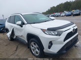 Toyota Rav4 Xle/Xle Premium 2T3W1RFVXKW039868 fotografie