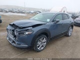 Mazda Cx-30 Gs 3MVDMBCL9MM214218 снимка