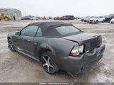 Ford Mustang 1FAFP44433F415315 снимка