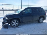 Jeep Compass Limited 1J8FF57B09D117234 fotografie
