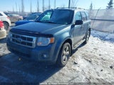 Ford Escape Xlt 1FMCU9DGXCKB85692 снимка