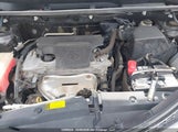 Toyota Rav4 Xle 2T3RFREV1EW152192 снимка