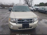 Ford Escape Xlt 1FMCU0D70AKB26871 снимка