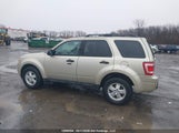 Ford Escape Xlt 1FMCU0D70AKB26871 снимка