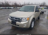 Ford Escape Xlt 1FMCU0D70AKB26871 снимка