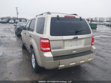 Ford Escape Xlt 1FMCU0D70AKB26871 снимка