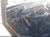Toyota Tacoma 5TFUU4EN6DX066325 снимка