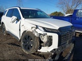Hyundai Palisade KM8R3DGE8SU925981 снимка